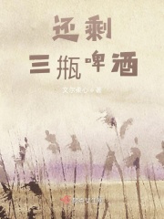 还剩三甁啤酒封面