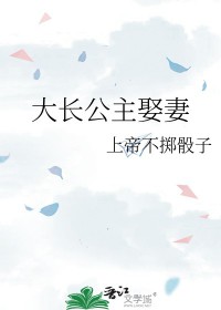 大长公主娶妻封面