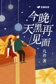 今晚天黑再见面封面