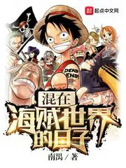 在海贼世界的日子封面