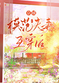 京城模范夫妻互穿后封面
