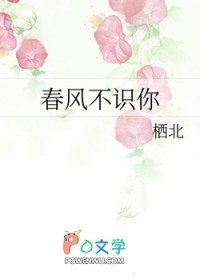 春风不识你封面