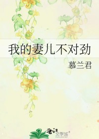 我的妻儿不对劲封面